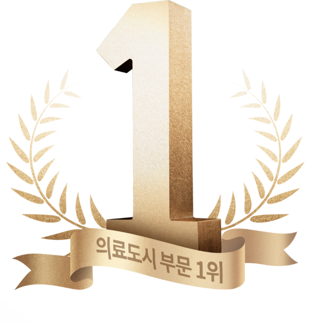 의료도시 부문1위